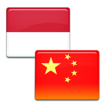 Kamus Bahasa Mandarin icono