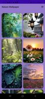 Nature Wallpaper screenshot 1