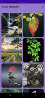 Nature Wallpaper screenshot 2
