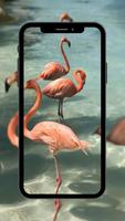 Wallpaper Burung screenshot 3
