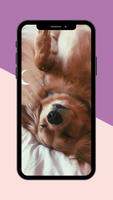 Dogs Wallpaper โปสเตอร์