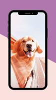 Dogs Wallpaper ภาพหน้าจอ 2