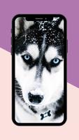 Dogs Wallpaper ภาพหน้าจอ 3