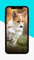 Puppy Wallpaper screenshot 3