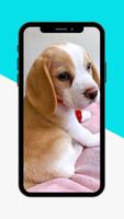 Puppy Wallpaper poster