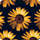 Sunflower Aesthetic Wallpaper APK