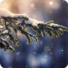 Snowfall Wallpaper icon
