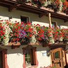Balcony Design Ideas آئیکن