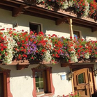 Balcon Maisons et appartements icône