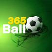 365ball guide
