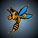 South Gibson County Hornets APK