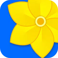 download Gallery - Photo & Video Player XAPK