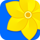 Gallery - Photo & Video Player APK