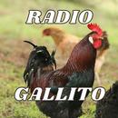 APK Radio  Gallito jalisco mexico