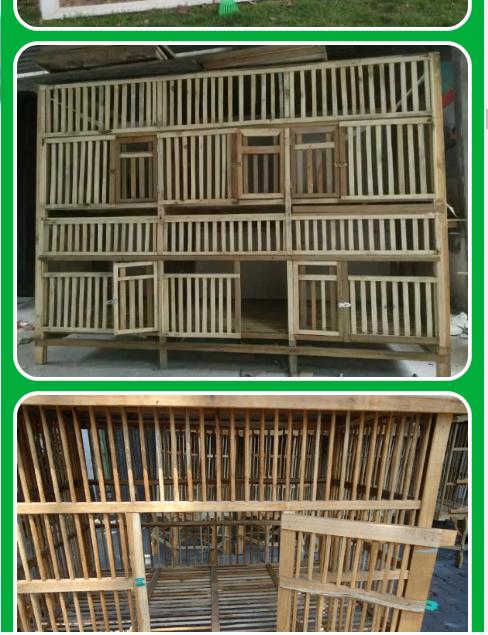 76 Gambar Babi Dari Bambu 76 Gambar Babi Dari Bambu