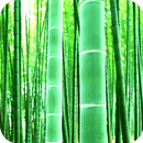 Bamboo Wallpaper HD APK