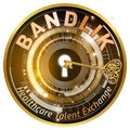 Bandlik H Job Search