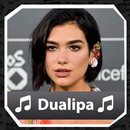 Dua Lipa Music Offline ( Best Songs) APK
