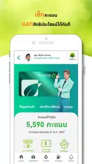 Baixar Bangchak XAPK