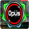 DJ Opus Offline 2021