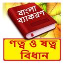 ণত্ব ও ষত্ব বিধান ব্যাকরণ বই APK