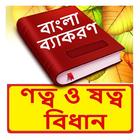ণত্ব ও ষত্ব বিধান ব্যাকরণ বই icon