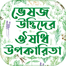 APK ভেষজ উদ্ভিদ এর উপকারিতা সমূহ