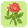 Flower Pairs