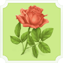 Flower Pairs APK