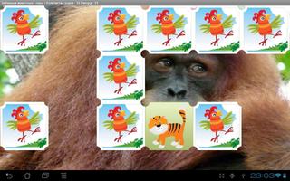 Funny Animal Pairs screenshot 2