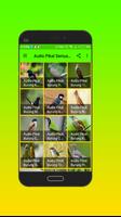 Audio Pikat Semua Jenis Burung تصوير الشاشة 2