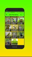 Audio Pikat Semua Jenis Burung تصوير الشاشة 3