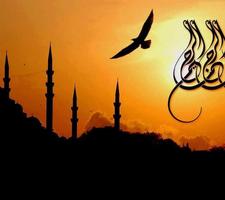 Basmala Wallpapers imagem de tela 3