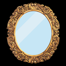 Makeup Mirror with 4X Zoom APK