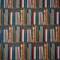 Entrance Library