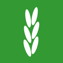 گیلان کشت APK