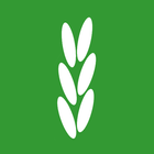 گیلان کشت icon