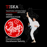 Tiska Karate Basics ikona