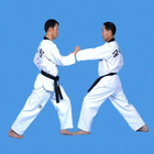Taekwondo Basic Technique icon