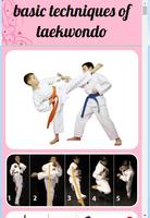 Poster Taekwondo Basic Technique
