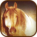 زمن الخيول البيضاء APK