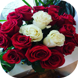 بطاقات ورد مميزة