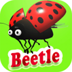 Adventures beetle