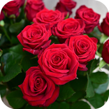 باقات الورد رائعة