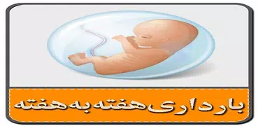 بارداری هفته به هفته