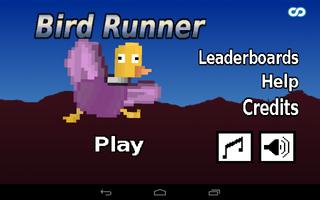 Bird Runner poster