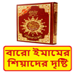 শিয়াদের দৃষ্টিতে চার ইমাম বই