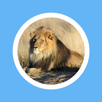 رواية براثن الاسد APK