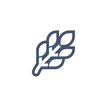 Baraem - Staff