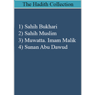 The Hadith Collection-icoon